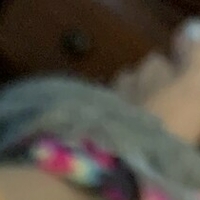 butterflylovebug Nahé