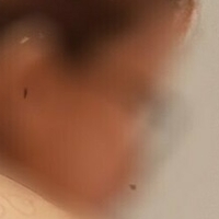 ingridmrfree12 Nahé